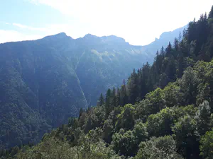 Vue