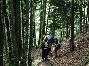 sortie-ornithologie-4.jpg